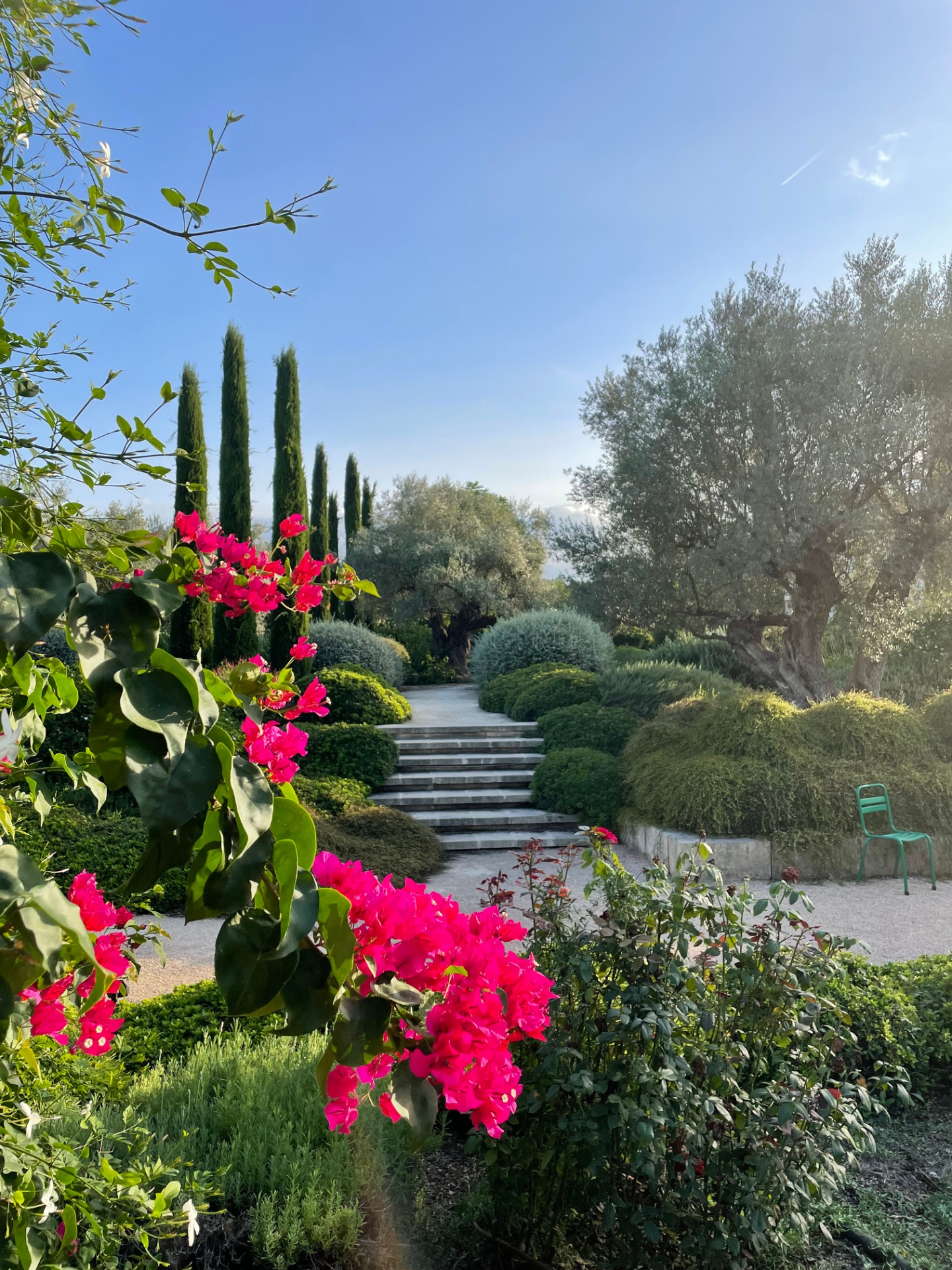 Mallorca — Garten mit Bougainvillea